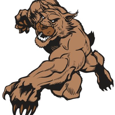 AR WILDCAT 47 RC Thumbnail