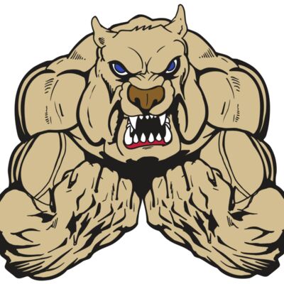 AR5 Bulldog 16 RQC Thumbnail