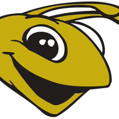 AR BEE 31 RC Thumbnail