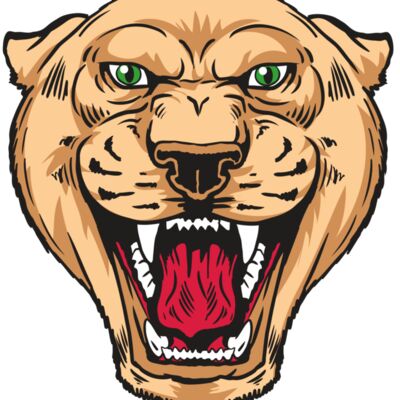 AR13 PNTHR 01 RQC Thumbnail